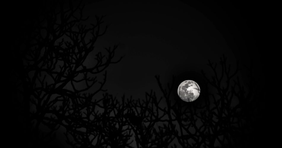 Nesting The Moon by Kevin Ste Marie - Kaptography